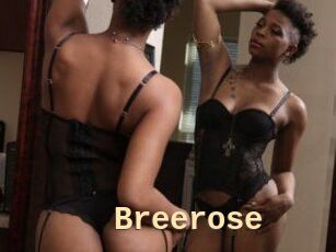 Breerose