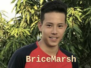BriceMarsh