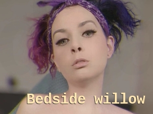 Bedside_willow