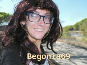 Begonia69