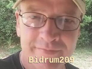 Bidrum209