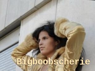 Bigboobscherie