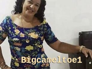 Bigcameltoe1