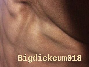 Bigdickcum018