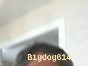 Bigdog614