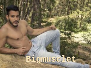 Bigmusclet