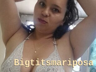Bigtitsmariposa