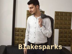 Blakesparks