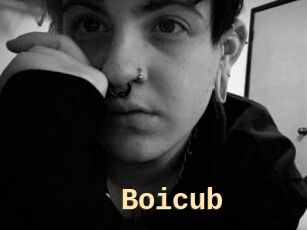 Boicub
