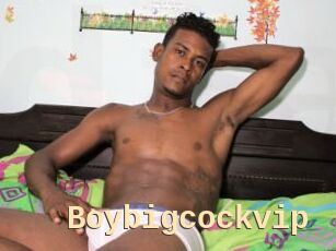 Boybigcockvip