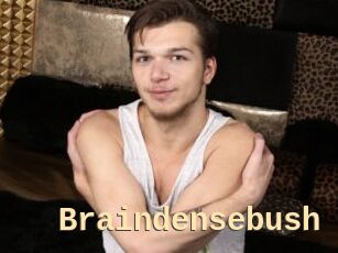 Braindensebush