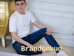 Brandonbud