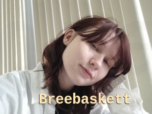Breebaskett