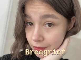 Breegrief