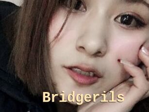 Bridgerils