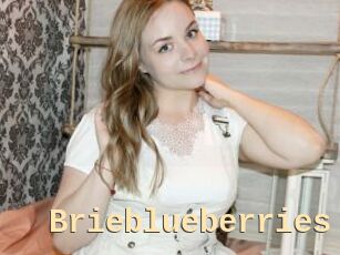 Brieblueberries