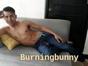 Burningbunny