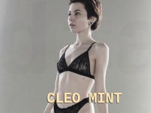 CLEO_MINT