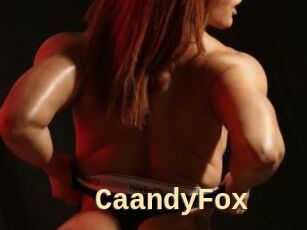 CaandyFox