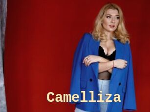 Camelliza