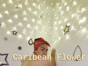 Caribean_Flower
