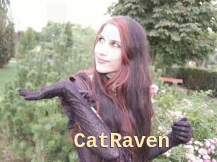 CatRaven