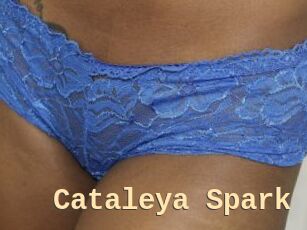 Cataleya_Spark