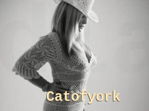 Catofyork