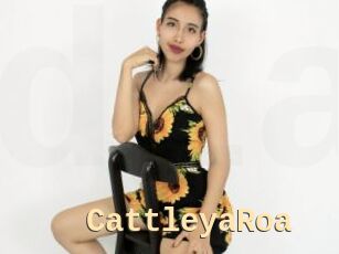 CattleyaRoa