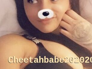 Cheetahbabe202020