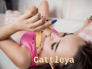 _Cattleya