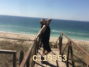 C119353