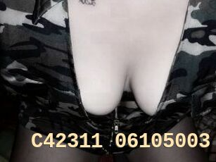 C42311-06105003