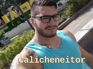 Calicheneitor