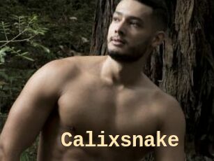 Calixsnake