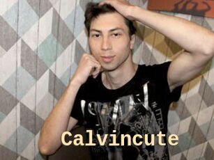 Calvincute