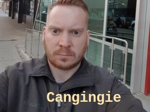 Cangingie