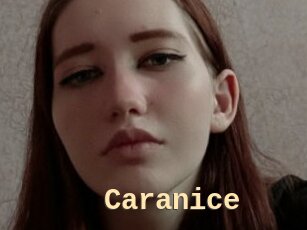 Caranice