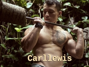 Carllewis