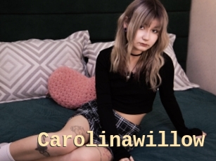 Carolinawillow