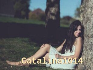 Catalina1014