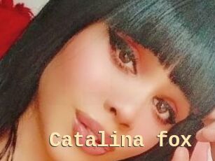 Catalina_fox