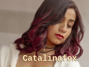 Catalinafox