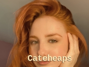 Cateheaps