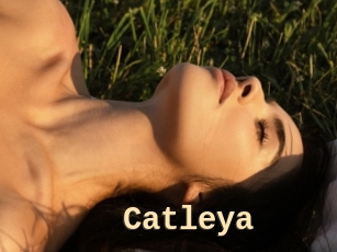 Catleya