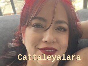 Cattaleyalara