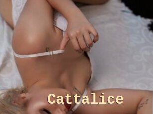 Cattalice