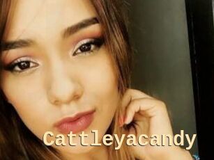 Cattleyacandy