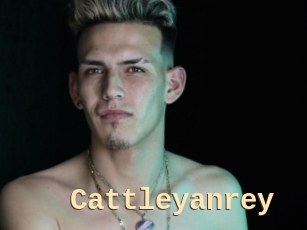 cattleyanrey Dialogue Sexe