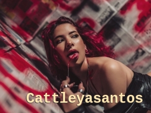 Cattleyasantos